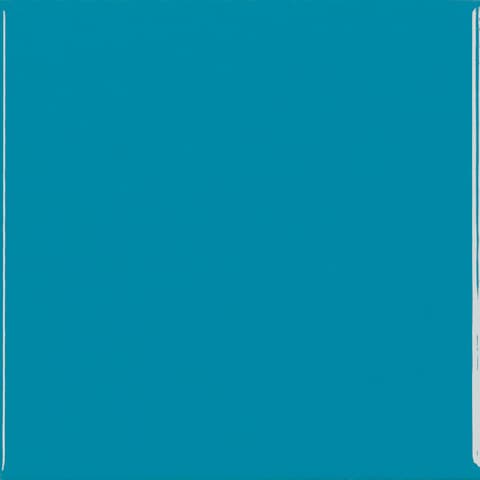 Carnival Aqua Blue