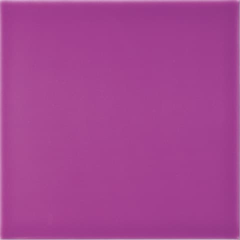 Carnival Morado