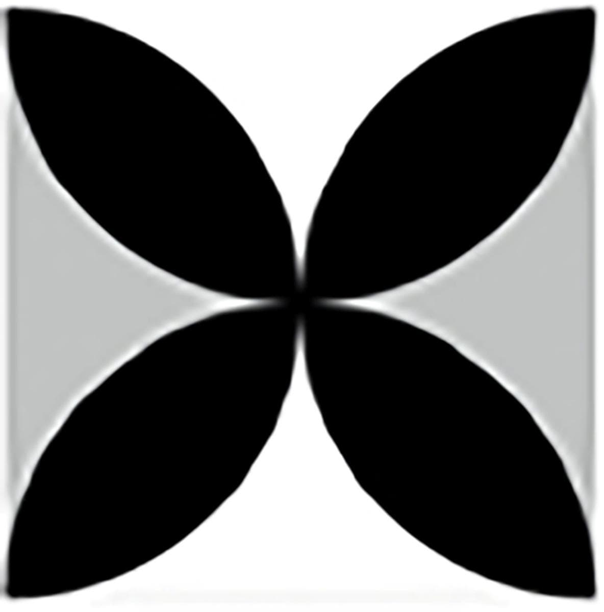 Symphony Black Matt Petals A