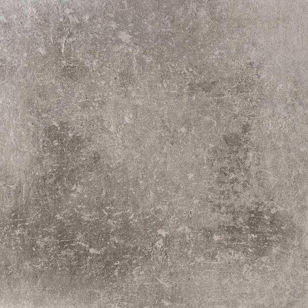 Maremma Grey