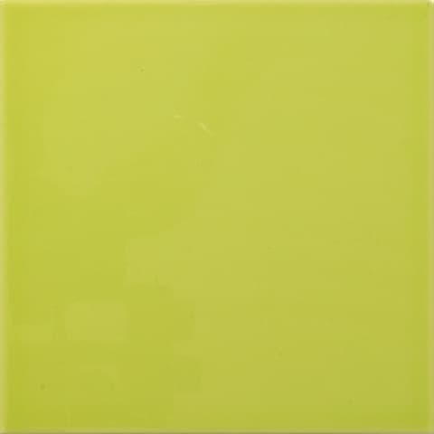 Carnival Pistacho