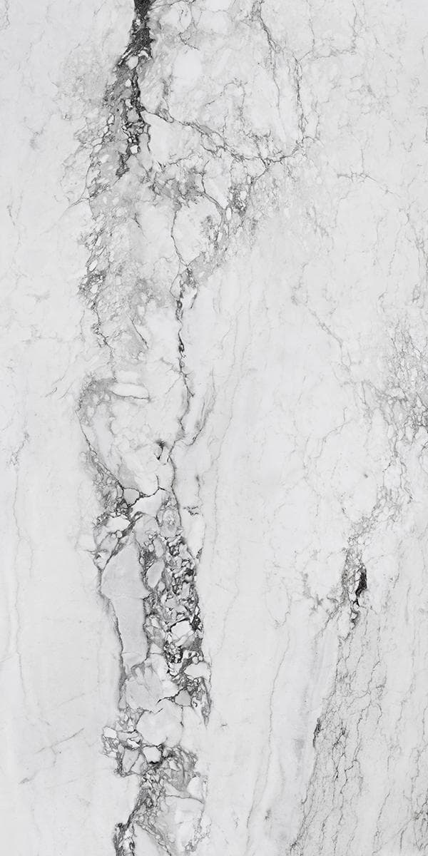 Medicea Marble White Full Lappato