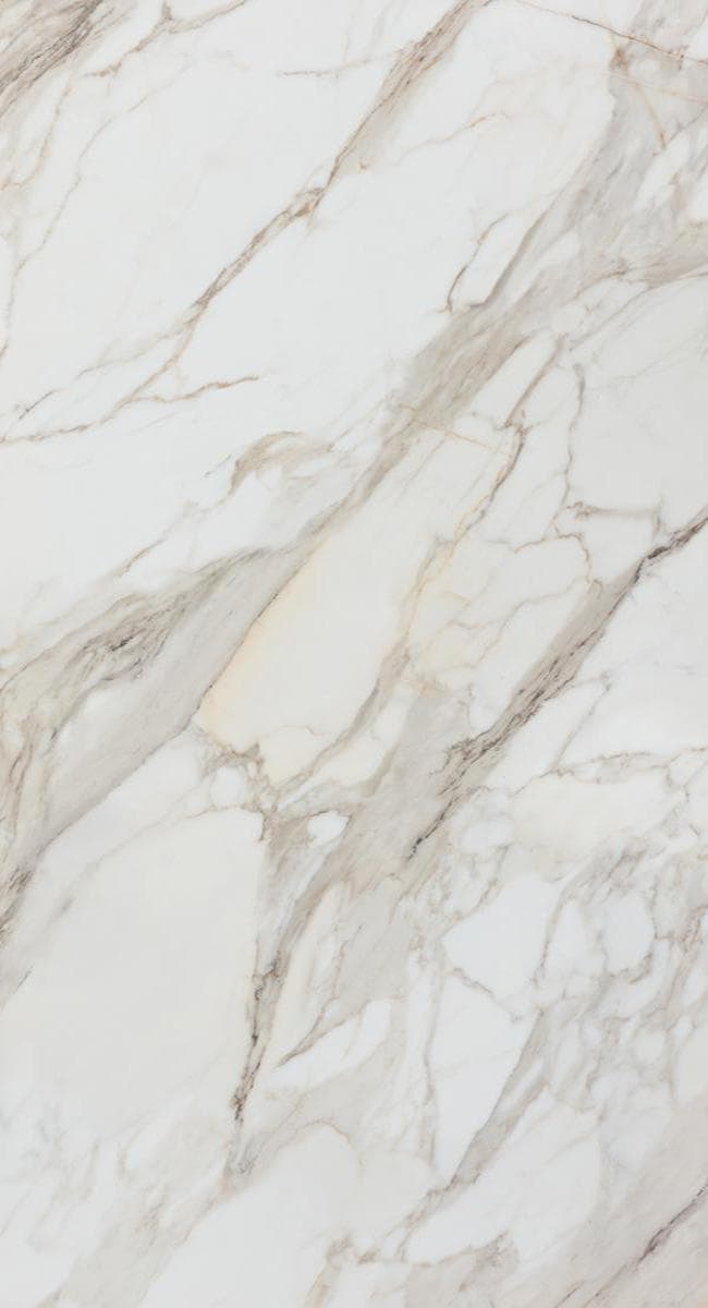 Calacatta Gold White Matt