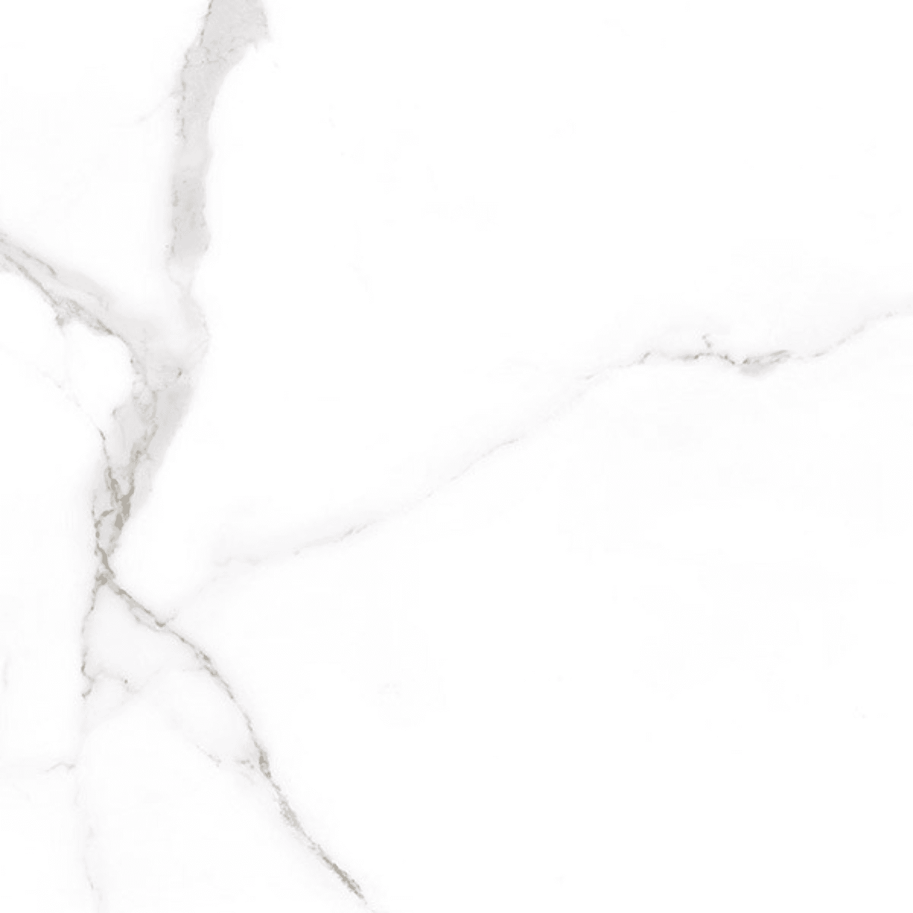 Alsacia Carrara Matt Rectified