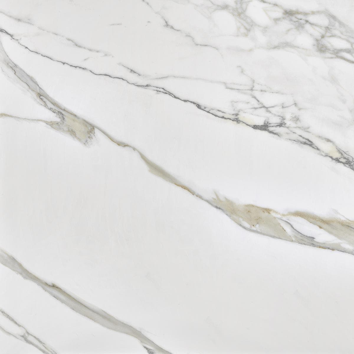 Treviso White Polished