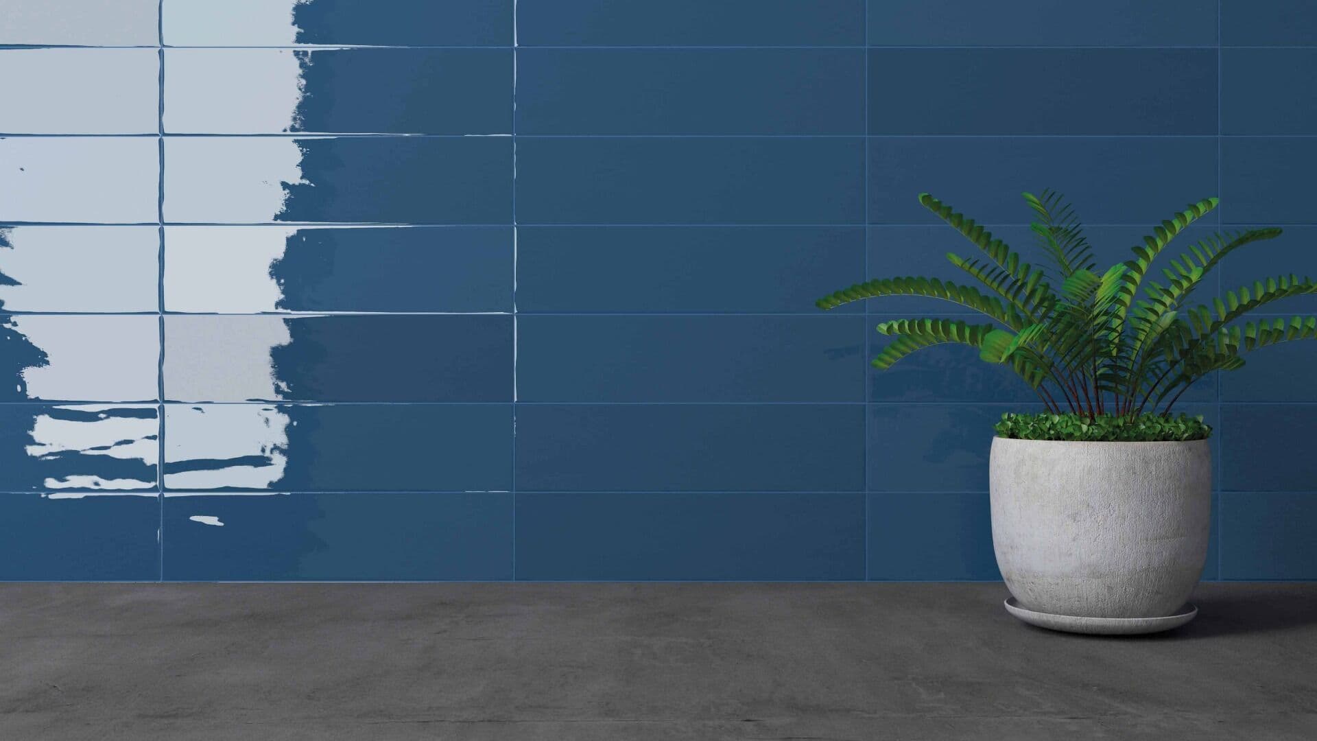 Gradient Plain Denim Gloss